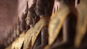 Rural Laos cycling experience