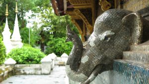 Biking across the Mekong River